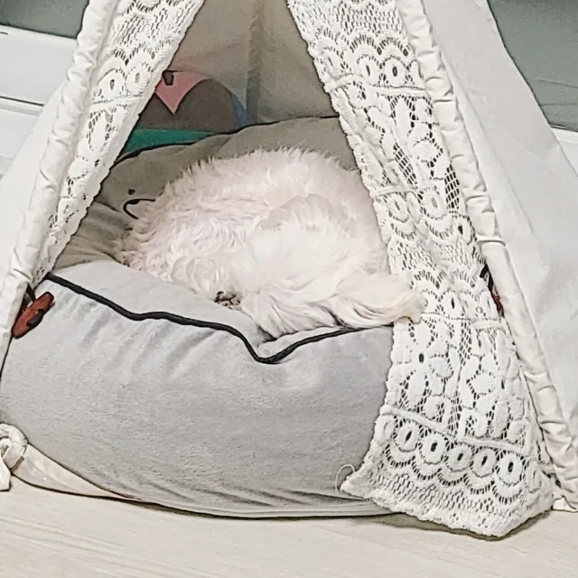 나나