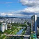 장수말벌