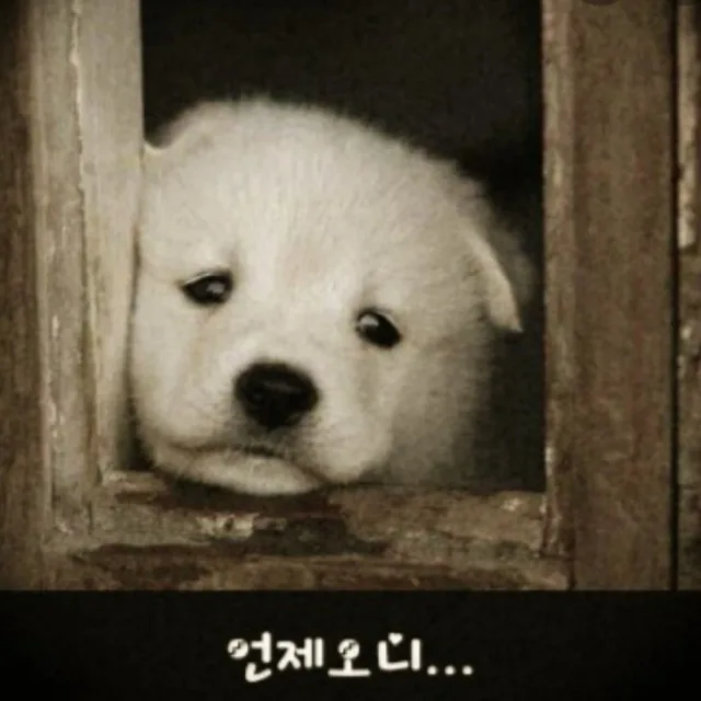 마루