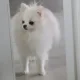 당근죠아