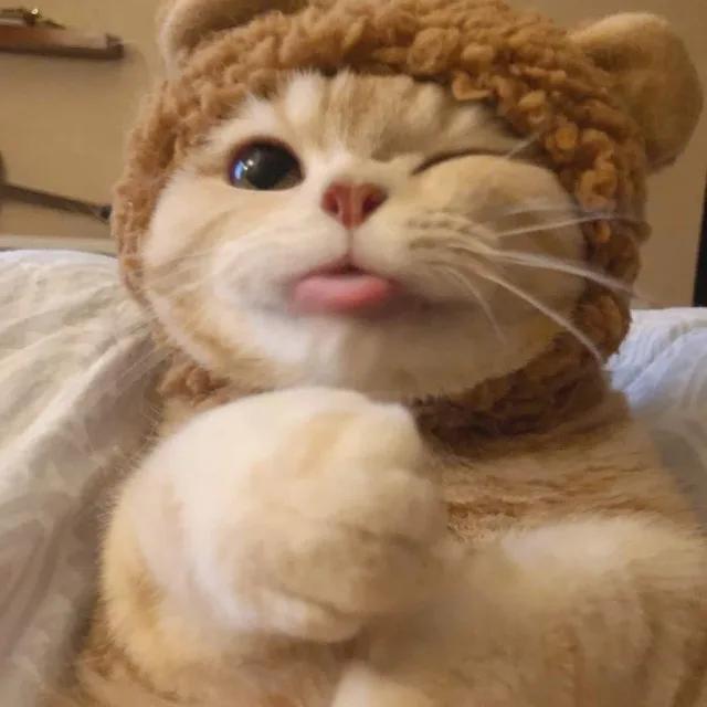 야롱이