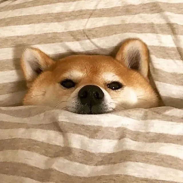 용가리