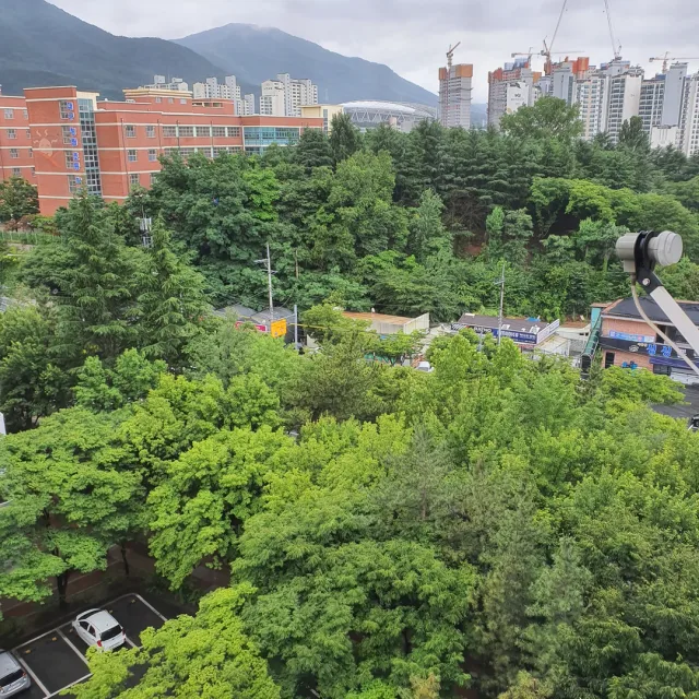 옆집언니
