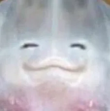 나무