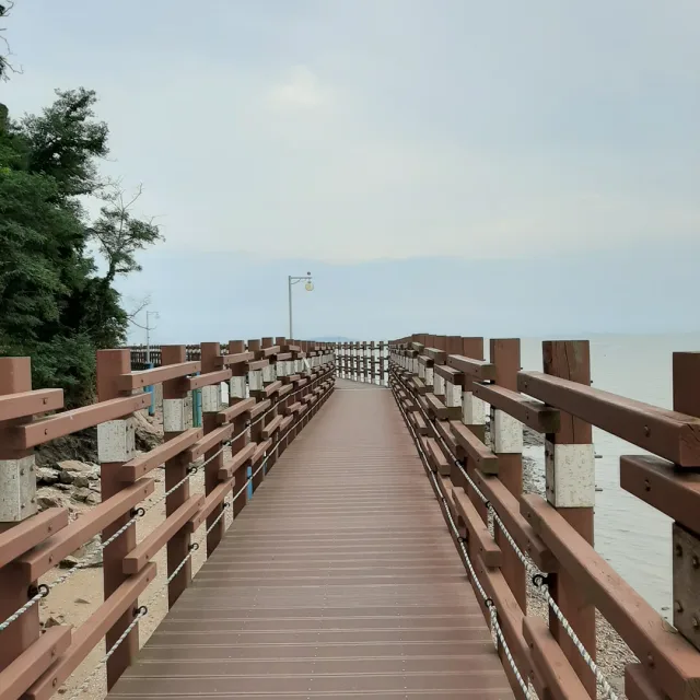 송촌