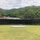 당근당근