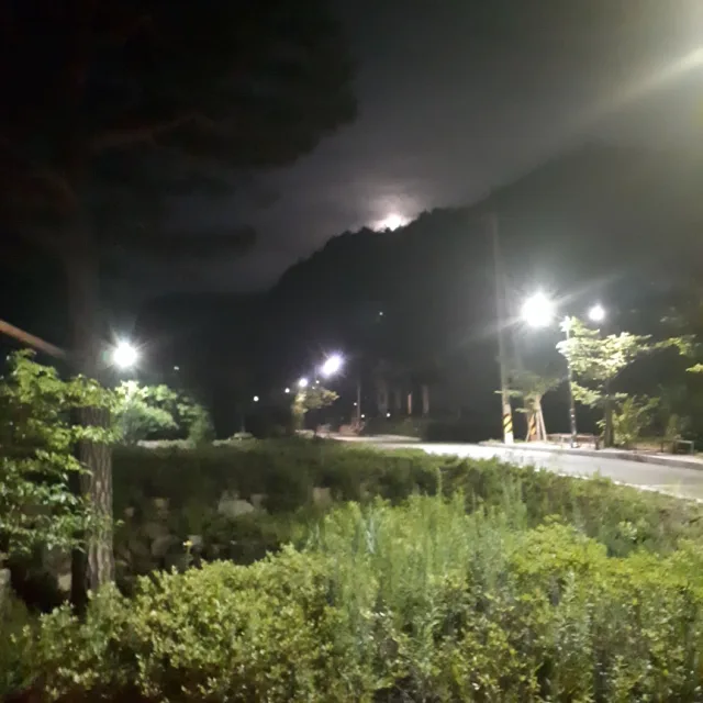 여행