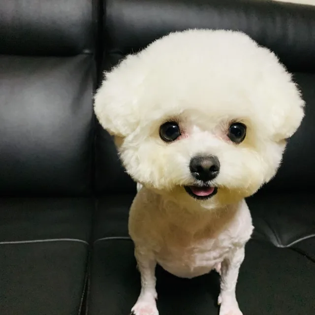 구름밀크