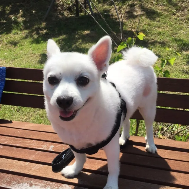 김한준