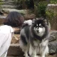루시