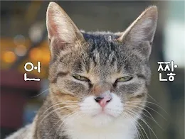 일개미