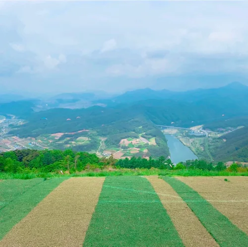 이웃집삼촌