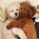 사이코패스