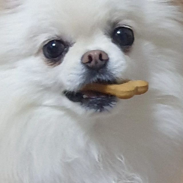 민섭맘