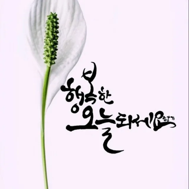 ff매니아