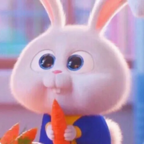 루코루코