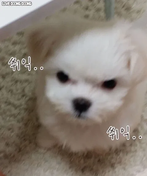 범마을
