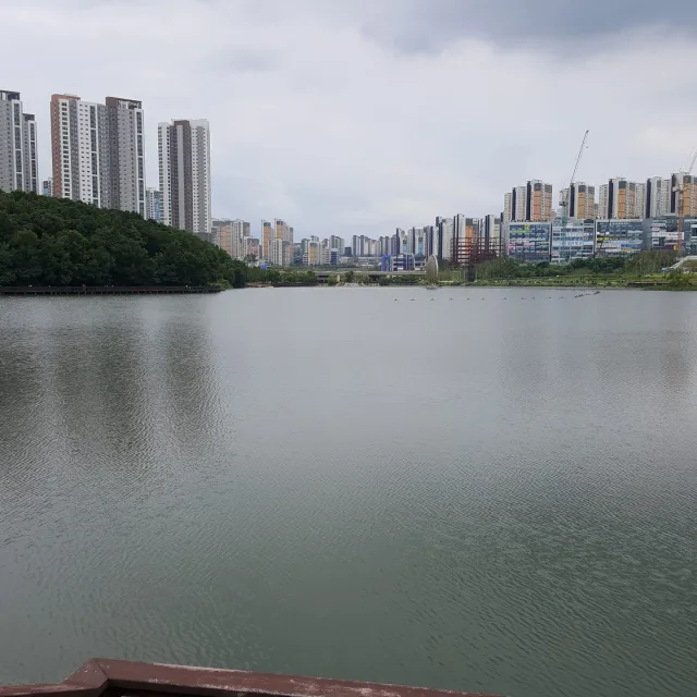 좋다