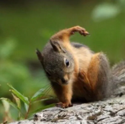 다혜찡
