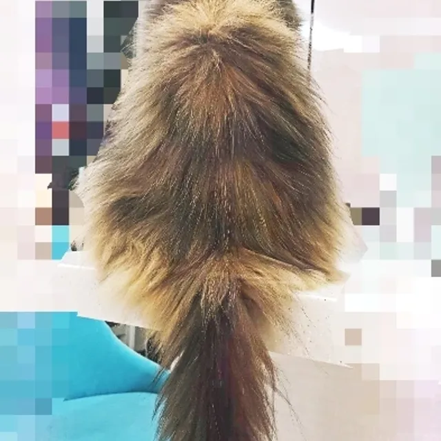 얌얌