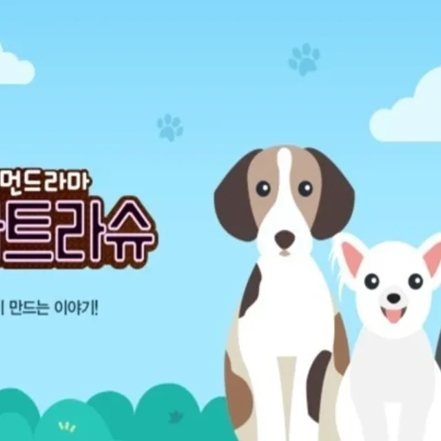 파트라슈