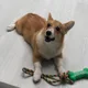 당킹