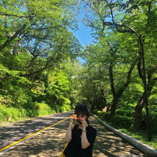 Dear산타