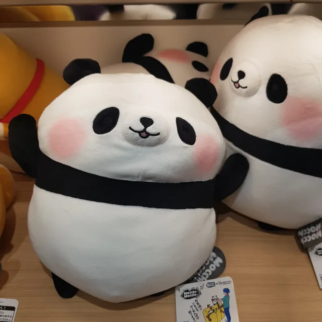 바다M