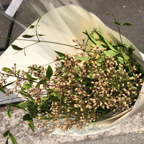 profile