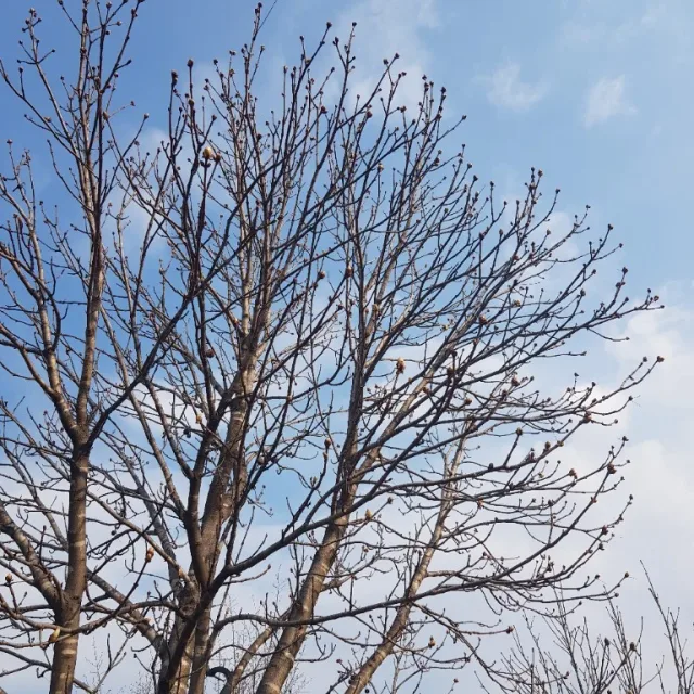 까꿍