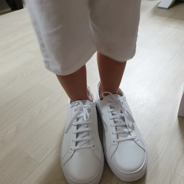 지쿵파파