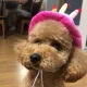 구워리맘