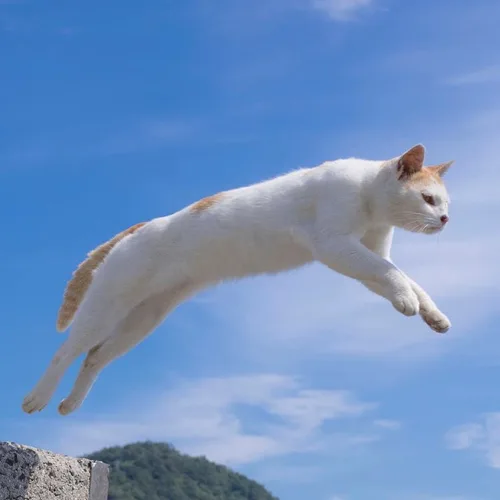새옷을꽈자값에