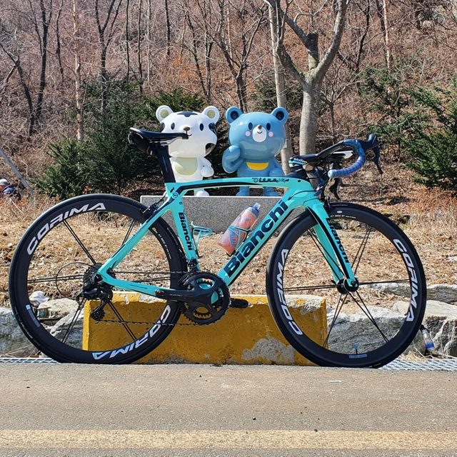 가을을만끽