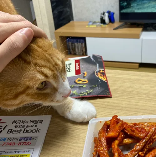 뿌빠꾸