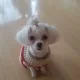 별이맘