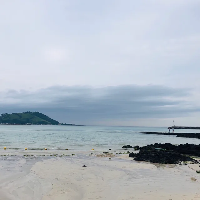 별빛노래