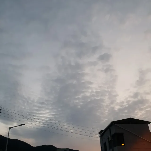 사용자