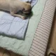 영이입니다