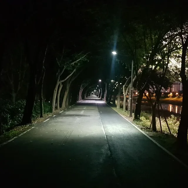 금천사랑
