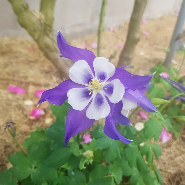 행복한걸