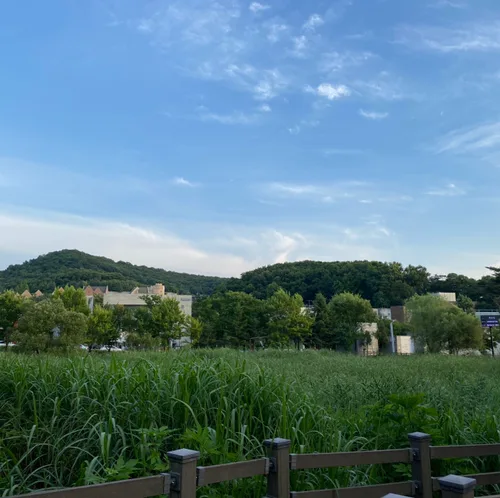 힌주