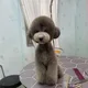 청소왕