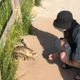 배시시