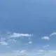 땡땡이