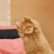하히히후헤호