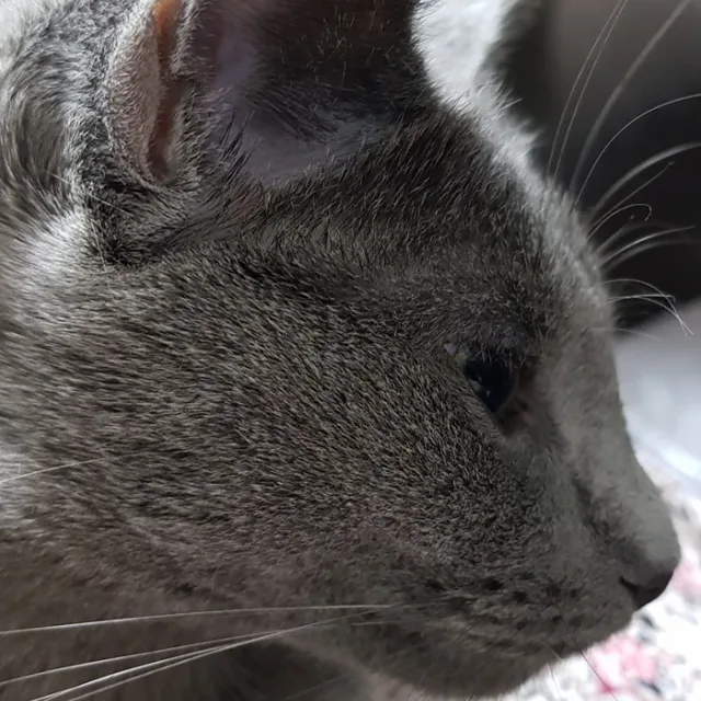 노을