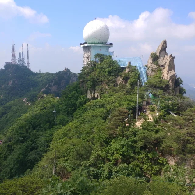 보난자