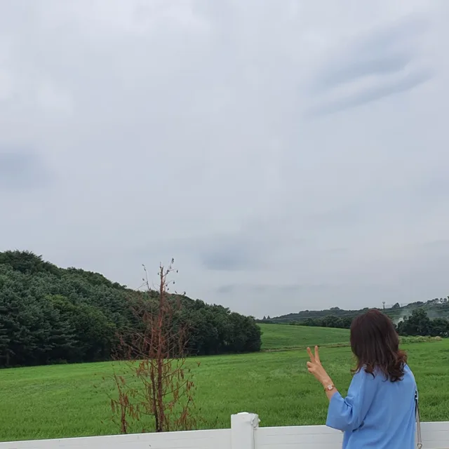 행운마미