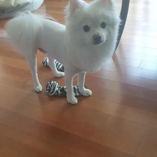채빛나